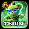 Logo da W1TEDDY